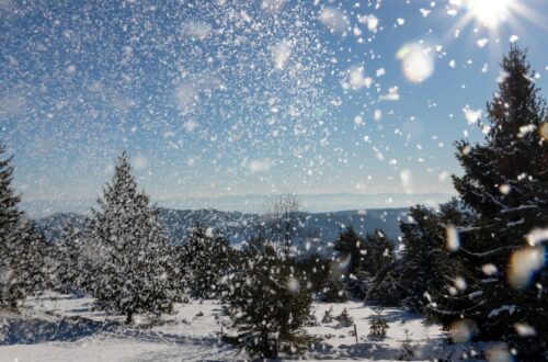 Where to Visit in December: Snow, Sun, and Sparkle