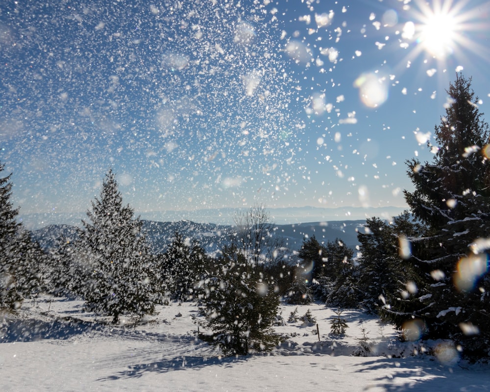 Where to Visit in December: Snow, Sun, and Sparkle