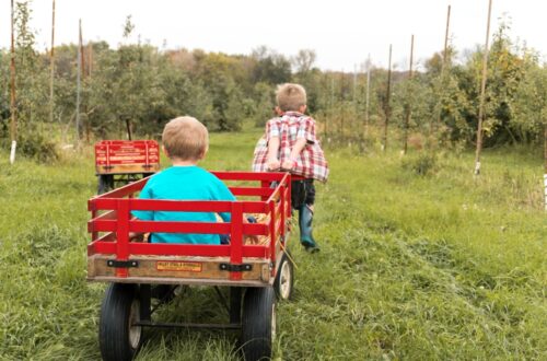 Minnesota’s Child Care Funding Freeze: What We Know, What We Don’t, and What Happens Next